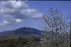 Vista dal Parco Faunistico (17kb)